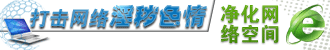 打击网络淫秽色情净化网络空间